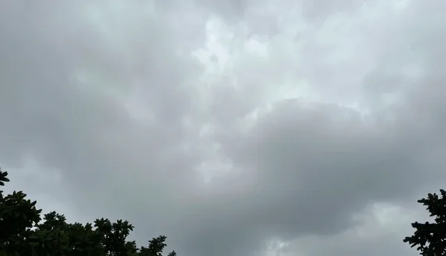 为什么企业健康管理团队无法有效落地？